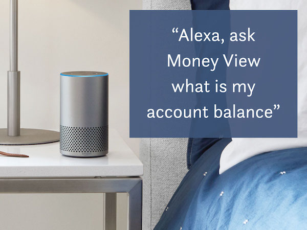 Money View Command on Alexa