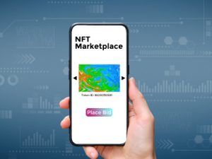 popularity and future of NFTs